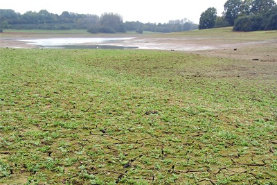 Anglian hopes its initiatives will enable it to better plan for severe drought (Courtesy of the Environment Agency)