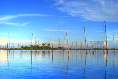 Balbina hydroelectric plant, Brazil. (picture: Horácio Fernandes)