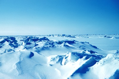 Melting sea ice is releasing toxic POPs into the atmosphere (Picture: Rear Admiral Harley D Nygren, NOAA Corps (ret.) via Wikimedia Commons)