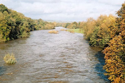 A pilot scheme could be held on English parts of the River Wye (photo: Claire Ward CC-BY-SA-2.0 via Wikimedia Commons)