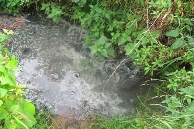 The Preserves brook downstream of the Universal Beverages site on 15 September 2009 (photo: Environment Agency)