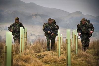 Forest certified to the Woodland Carbon Code growing on Ministry of Defence land at Warcop, Cumbria