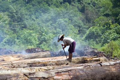 A key GFTN aim is to get forest operations in the Congo, Amazon, Russia and Borneo to be FSC-certified (photo: WWF-Canon/Simon Rawles)