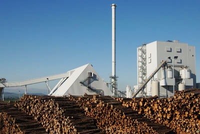 Eon’s 44MW Steven’s Croft biomass power station, Lockerbie, would still be built under the government’s proposed subsidies. But plants above 50MW peak capacity may not (Photo: Newscast/Eon)