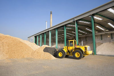 The exoected subsidy for large biomass plants was expected to be 2.7p per kilowatt hour