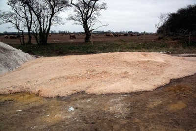 Food waste dumped at Home Farm, Aldwark (credit: Environment Agency)
