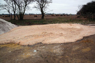Ten tonnes of mixed food waste were dumped at a field in Home Farm, Aldwark (photo: Environment Agency)