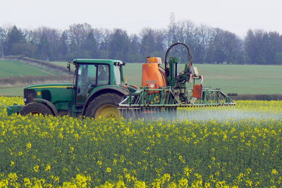 PAN says supermarkets should promote pollinator-friendly practices and reduce bees' exposure to pesticides (photo: Brian Robert Marshall CC-BY-SA-2.0)