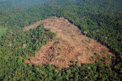 Sky sent staff to visit a groundbreaking rainforest rescue project (picture: Sky)