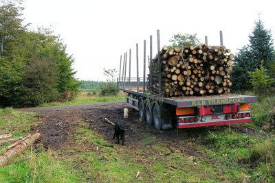 DCLG currently publishes data on changes in land use, such as forestry to agriculture (photo: Mike Belch, via Geograph)