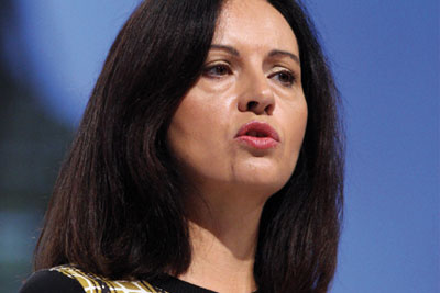 Caroline Flint: government notables 'revel in their contempt' for green protection (photo: Allstar Picture Library/Alamy)