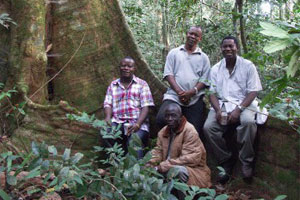 The Gola forest in Sierra Leone will be one of recipients of the Together for Trees partnership (RSPB)