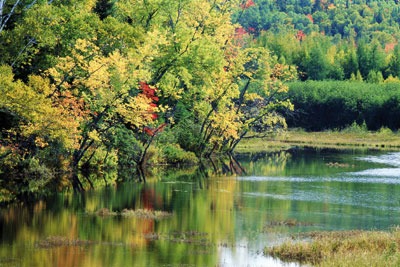 Both the Environment Agency and Natural England have come under pressure to focus on enabling growth (photo: Getty)