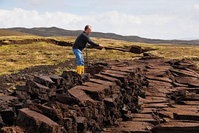 Three million cubic metres of horticultural peat are used in the UK every year (photo: Realimage/Alamy)
