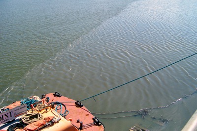 South West Water was fined £28,000 for polluting the Plym estuary with raw sewage (photograph: Environment Agency)