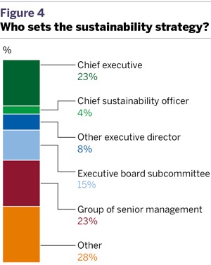Who sets the sustainability strategy?