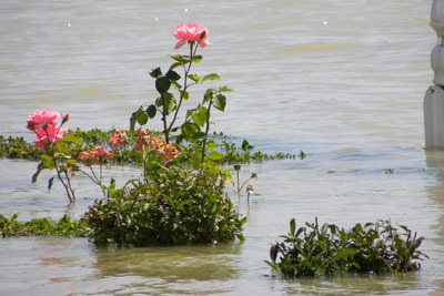 The UK is becoming more exposed to flood risk and water scarcity (photo: Gabriel CC BY 2.0)