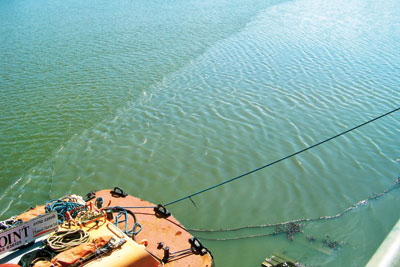 Sewage was spilt into the Plym estuary (photo: Environment Agency)
