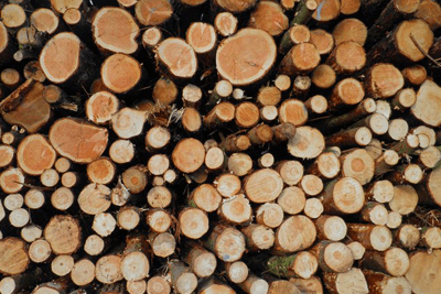 A ban on wood in landfill is back on the agenda (photograph: Steve Fareham, CC by SA 2.0)