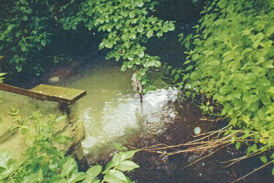 Northumbrian Water has been fined £3,000 for water pollution (photo: Environment Agency)