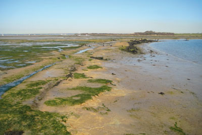 Groups have put forward 127 marine conservation zones in England and Wales (credit: Andy Roberts CC BY 2.0)