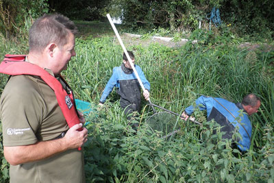 Environment Agency helping to fish goldfish out of the Pickleden stream, Kent (photograph: Environment Agency)