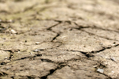 Cracked earth