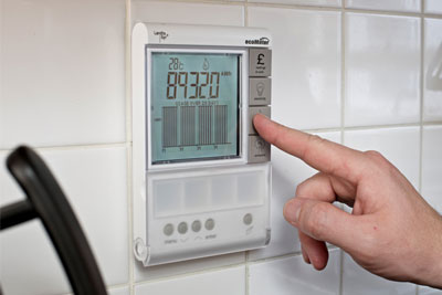 ecoMeter smart meter: Consumers could lose the benefits of smart meters if they switch to energy suppliers unable to support the technology