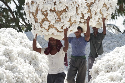 Cotton pickers. Credit: Marks & Spencer