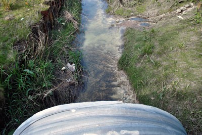 River pollution. Credit: Robert Brook, Alamy
