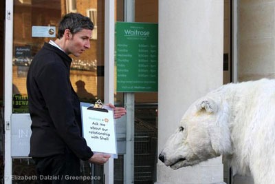 Greenpeace’s campaign featured the appearance of a life-size polar bear at Waitrose’s branch in Islington, London (photograph: Elizabeth Dalziel / Greenpeace)