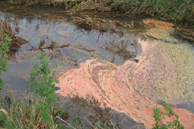 Oil leak into the river Lark. Credit: EA