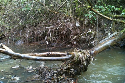 Stonehouse debris. Credit: SEPA