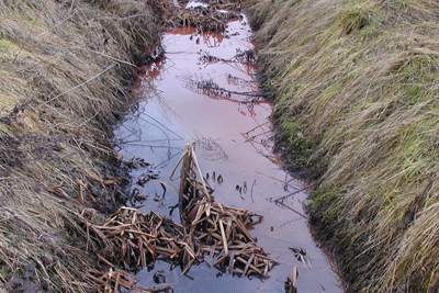 Diesel from Westram Ltd ended up in the Bottesford beck (photograph by Environment Agency)