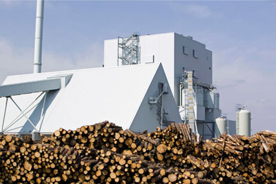 Green campaign groups and Renewable Energy Association are at odds over the impact of biomass burning (photograph: Global Warming Images/Alamy)
