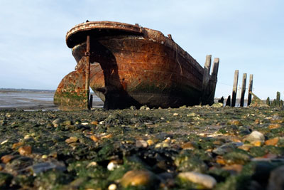 Medway estruary in Kent: a proposed marine conservation zone (photograph: Charlotte Leaper/Dreamstime.com)