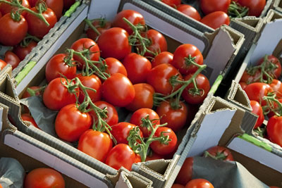 Tomatoes in packaging: the grocery sector signs up to third Courtauld commitment (photograph: Kevers/Dreamstime.com)