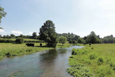 Hertfordshire's river Mimram has been testing the new approach (credit: Charlie Bell/Middlesex Wildlife Trust)