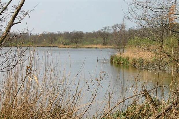 The High Court had already quashed NE’s permit to erect two nearby fish barriers at Hoveton Great Broad. Photograph: Nick Smith/Geograph