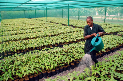 Nestlé's took water-saving action at its Mossel Bay powdered milk factory after a severe drought threatened operations