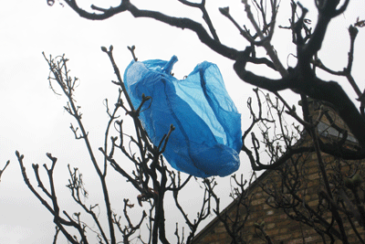 Plastic bag
