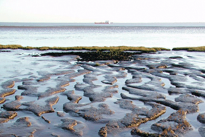 Able UK is to build the £450m 320-hectare marine park in the Humber estuary (photograph: Paul Glazzard, CC by SA 2.0)