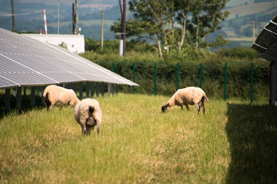 Marley Thatch solar farm in Devon. Credit: Lightsource