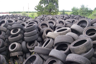 Tyres found on Stud Recycling's farm. Credit: SEPA