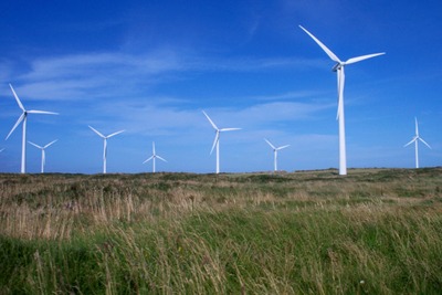 Wind farms, County Wexford, Ireland (photograph: Harry Pears, CC by SA 2.0)