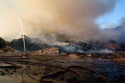 Water used to fight a fire at Arcwood Recycling's Ilkeston site polluted a canal and killed thousands of fish (photograph: Environment Agency)