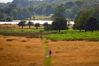 Richmond Park, London: planting trees near cities provides benefits estimated to be worth half a billion pounds to the UK (photograph: Gary Knight, CC by SA 2.0)