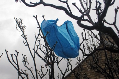 Eight billion lightweight plastic carrier bags thrown away by EU citizens ended up as litter in 2010