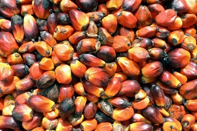 Many EU and north American RSPO members aim to be using 100% certified palm oil by 2015 (photograph: oneVillage Initiative, CC by SA 2.0)