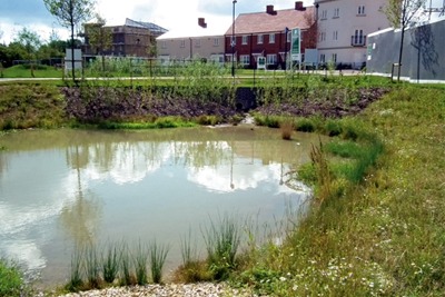 SuDS pond at Berewood housing development, Hampshire
